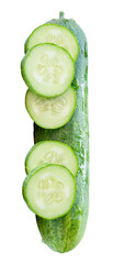 Side view of fresh green cucumber with slices in circle shape in stack isolated with clipping path...