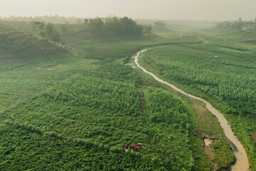 Aerial view of Gardener harvesting agricultural product. green field behind river