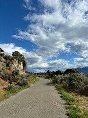 Obraz premium walking trail