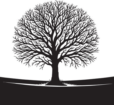 Premium Black and White Tree Silhouettes for Artistic Use