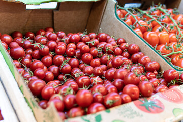 closeup tomato freshness red ingredient juicy fresh organic agriculture raw vegetable food ripe
