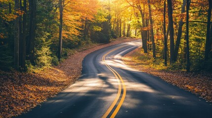 Obraz premium Autumn Road