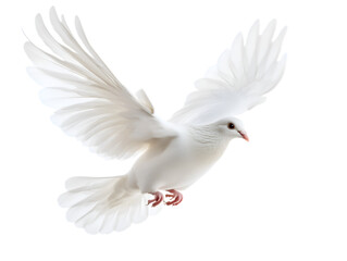 Obraz premium A white dove is flying isolated on white background. Suitable for marketing or business purposes. PNG file