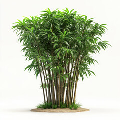 Obraz premium Potted Bamboo Plant with Vibrant Green Leaves