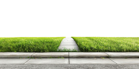 Serene Green Grass Sidewalk Path, Nature Walkway, Summer Landscape