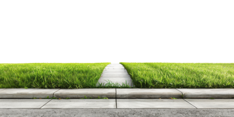 Serene Green Grass Sidewalk Path, Nature Walkway, Summer Landscape