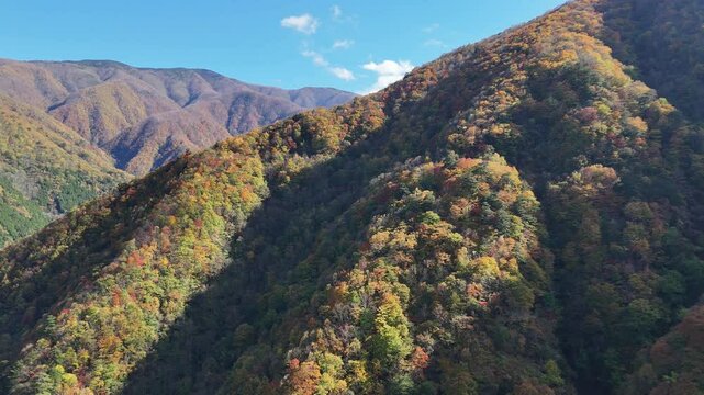 紅葉に染まる奥秩父、豆焼橋・雁坂大橋をドローンで撮影しました。