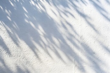 Obraz premium Soft natural shadows on a white wall background