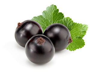 black currant with green leaf isolated on white background. clipping path