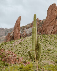 Superstitious Mountains - Treasure Loop - Arizona