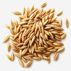 Close-up View of Golden Barley Grains, Natural Agricultural Produce, Healthy Food Ingredient, Raw Cereal, Nutrition Source for Various Culinary Applications