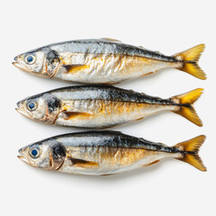 Freshly Caught Fish Displayed on White Background, Perfect for Seafood Dishes, Cooking Recipes, and Culinary Presentations to Showcase Freshness and Quality