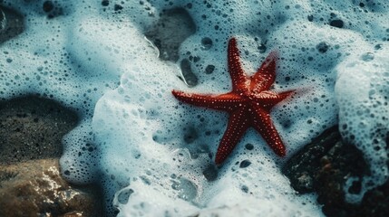 Vibrant red starfish perched on a rocky beach, partially submerged in frothy sea foam, showcasing its unique shape and texture amidst the ocean's waves.