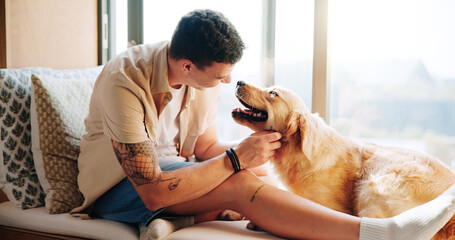 Man, golden retriever and happy on sofa, home or windowsill with care, connection and love in...