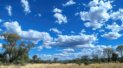 Obraz premium Panoramic view of a vibrant blue sky filled with fluffy white clouds, illuminated by sunlight over a serene natural landscape with tall grass and scattered trees.