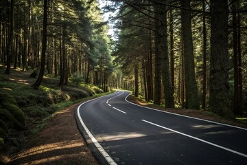 Obraz premium Black asphalt road winding through a forest with white dividing lines, solitary drive, winding path