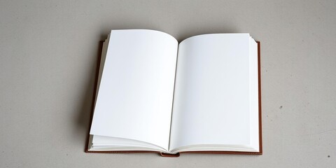 Book lying open on a surface with isolated pages spread out, book arrangement, organized layout, book display