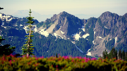 Fototapety na wymiar - Fototapeta24.pl