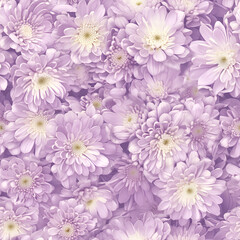 Obraz premium Softly layered petals of lavender chrysanthemums in a seamless pattern, high resolution