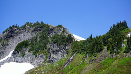Mt. Rainier National Park Washington State
