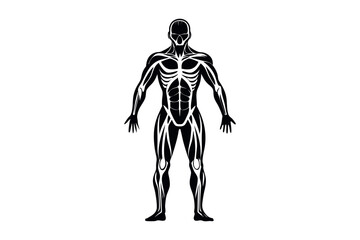 Fototapeta premium Human body silhouette vector illustration with white background