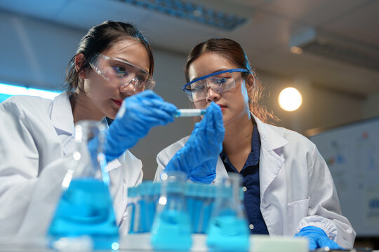 Medical laboratory Biology research development Advanced equipment Two female scientists working using test tubes blue solution Analyze biochemical samples in a medical science laboratory.