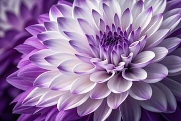 Obraz premium Abstract purple and white combination creates a captivating decorative piece, abstract purple swirls, creative expression