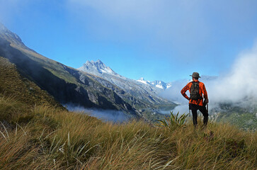 Hunter high in tussock alpine area with snowy mountains in background