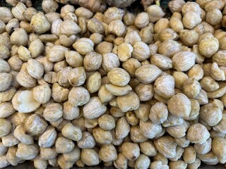 photo of candlenut fruit
