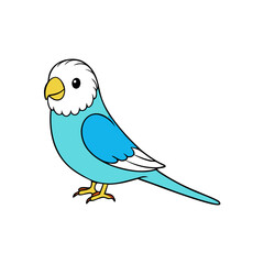 Budgerigar  budgie  vector illustration