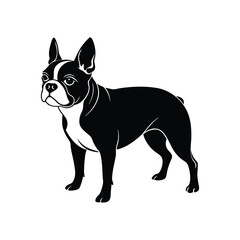Classic Boston Terrier Dog Silhouette Illustration