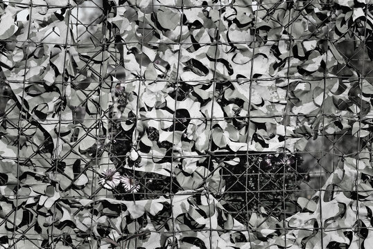 gray background, in the photo there is a chain link mesh and camouflage mesh