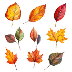 Naklejka premium Vibrant autumn leaves in various colors, perfect for seasonal decorations, nature-themed designs, and artistic projects.