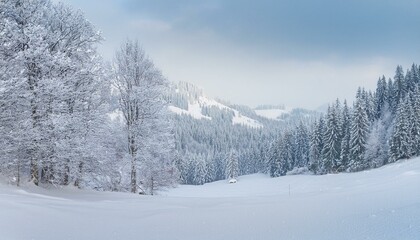 snow covered trees