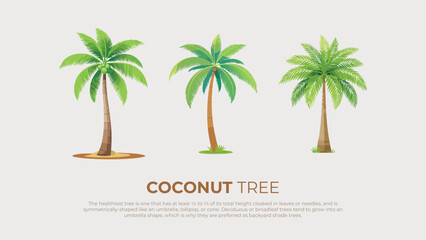 Obraz premium Three Coconut Palm Trees Tropical Illustration, Summer Vacation