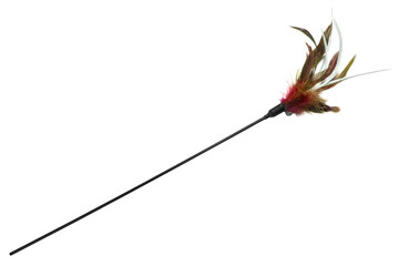 Feather cat toy isolated