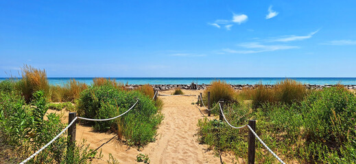 Panorama of seascape of Bibione beach in summer.