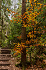 Im Lattengrund auf dem Weg zu den Schrammsteinen