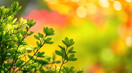 Lush green foliage in vivid detail contrasting with a warm, colorful background, capturing the essence of nature's beauty in full bloom