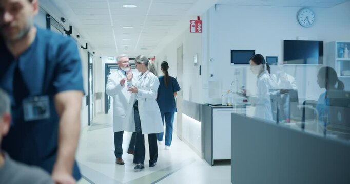 Diverse Male and Female Medical Professionals Navigate a Busy Hospital Corridor and Registration Area, Having Conversations About Healthcare. Male Nurse Assists a Patient in a Wheelchair