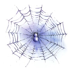Obraz premium Explore the intricate world of spiders and their stunning web patterns in nature