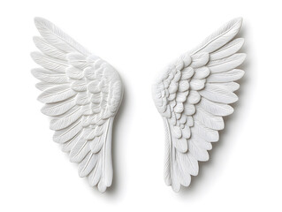 Obraz premium 3d White Angel wings isolated on white background