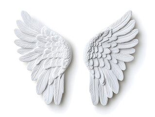 Obraz premium 3d White Angel wings isolated on white background