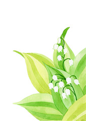 水彩画のスズランの花のイラストカード用