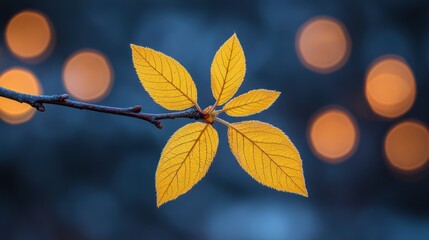 Obraz premium Yellow leaves on a branch with a blurred background.