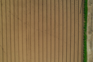 Rows of soil before planting.Furrows row pattern in a plowed field prepared for planting crops in...