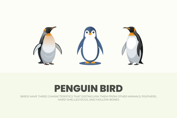 Obraz premium Penguin Bird Three Distinctive Characteristics, Feathers, Eggs, Bones