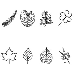 Minimalist Line Icon Various Leaf Shapes Set