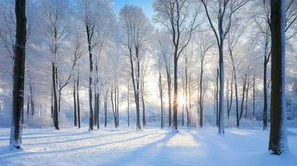 Fototapeta premium Serene Winter Scene: Snow-Covered Forest with Tall Trees under Blue Sky