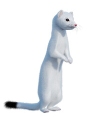 3D Rendering White Weasel on White